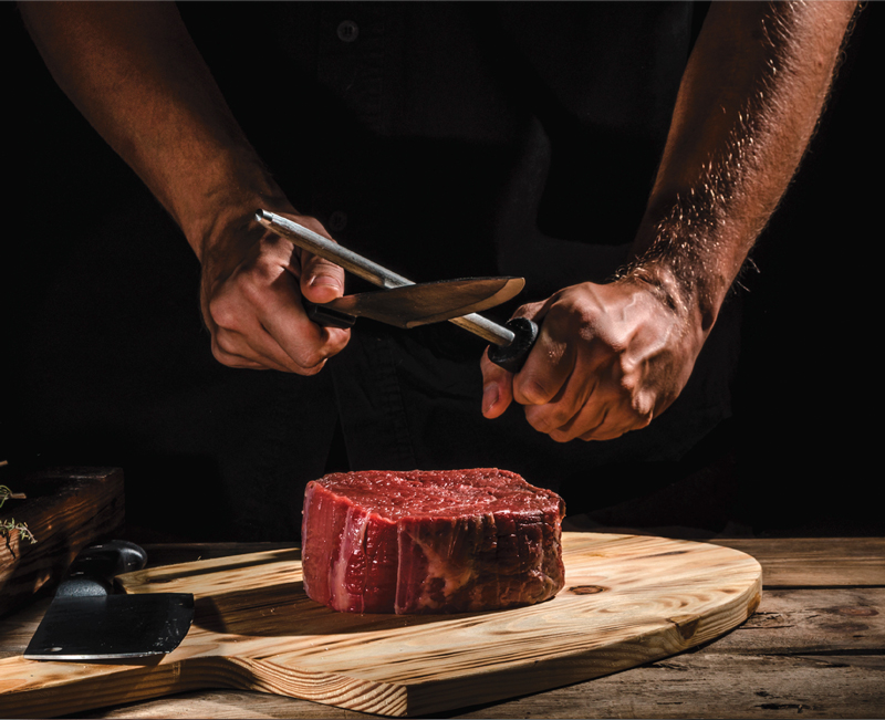 TRADITION UND FORTSCHRITT